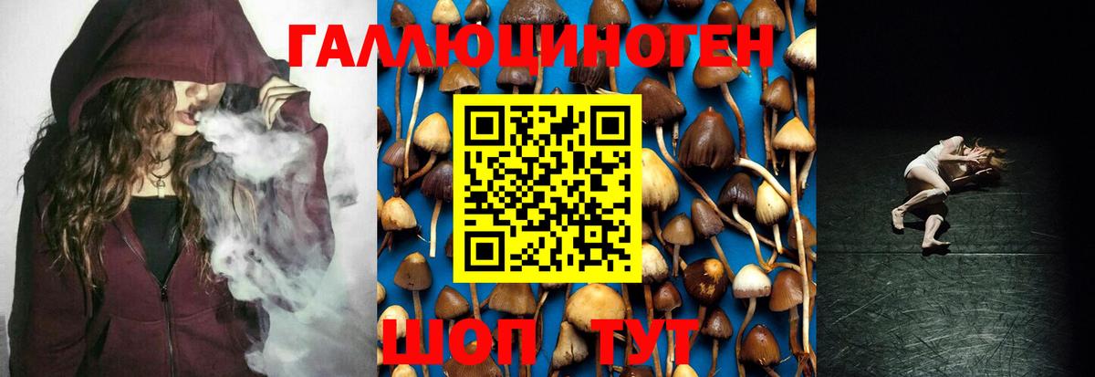 Галлюциногенные грибы Psilocybine cubensis  Вход с VPN  Салехард 