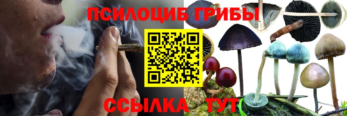 Псилоцибиновые грибы мицелий Салехард
