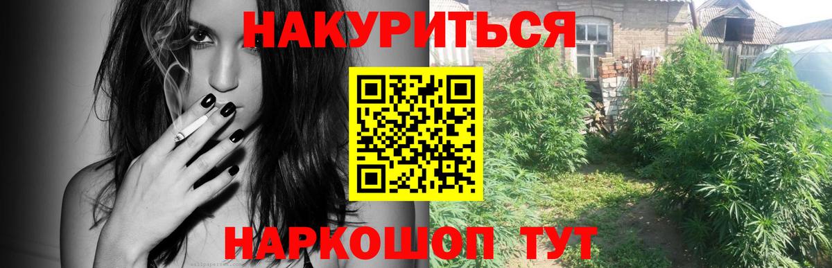 Шишки марихуана тримм Салехард
